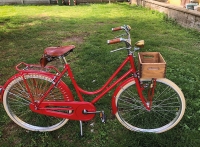 Bicicletta da donna Taurus anni '50