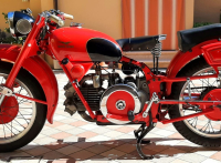 Moto Guzzi - Falcone sport 500 - 1952