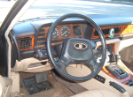 jaguar (21)