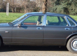 jaguar (4)