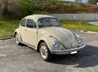 Volkswagen - Maggiolino - 1969