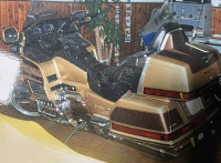 HONDA God Wing Anniversary Edition, 1990