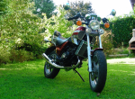 DSCN0329